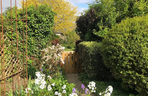 Wingham House | Suite - Studio with spa facilities and treatments