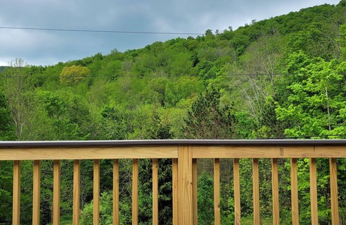 Margaretville Cabin | Summer Cabin in Margaretville 2.5 hours from NYC