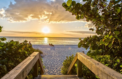 Naples Park House | SUMMER PROMOTION! Cute Designer Home, Heated Pool Oasis, Near Beach, FREE Bikes