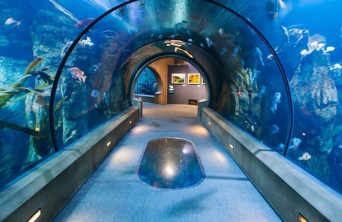 Newport House | Sun and Sand! Hillside View, Indoor Swimming Pool, Free Parking!