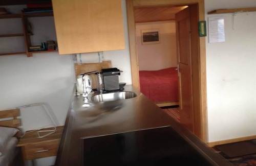 Riederalp Apartment | Sunneschy EG Süd by Interhome