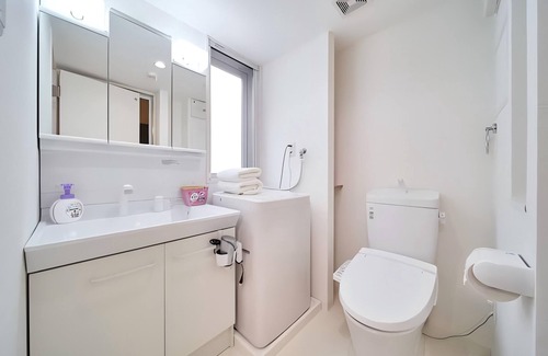 Nishi Apartment | Sunny 3 - guest American - style Osaka apt.Private bath, kitchen. Unit 102.