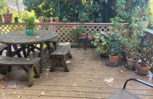 Boalsburg House | Sunny and Bright Home, Close to Penn State's Campus