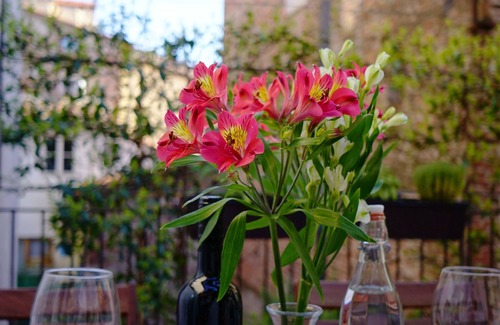 Lucca Historical Center Apartment | Sunny & Central : Heart of Lucca with Terrace!