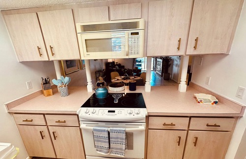 Sun 'N Lake Villa | Sunny Sebring Escape with your own pool!