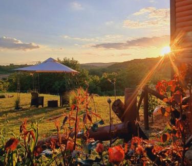 Petrovaradin House | Sunny Side Fruska Gora - veliko imanje sa kucom za odmor