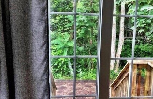 Brewster Cottage | Sunrise Cottage Brewster - 1 Bed Cottage, Perfect for a Cozy Getaway!