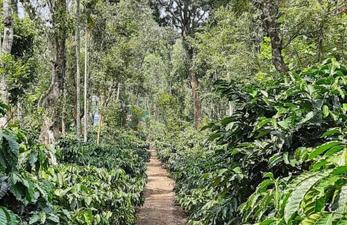 Kutta House | Sunrise Homestay, Nagarahole