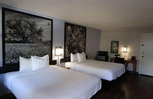 East Congress Hotel | Super 8 by Wyndham Austin South I-35