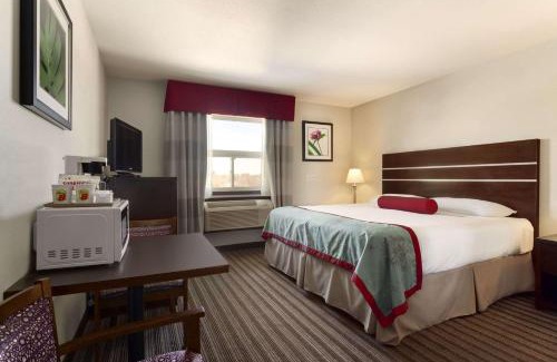 Saskatoon Downtown Hotel | Super 8 by Wyndham Saskatoon Near Downtown