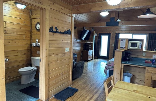 Homer Cabin | Super Cub Cabin - Cozy retreat with bay views, a shared hot tub, and fire pit!