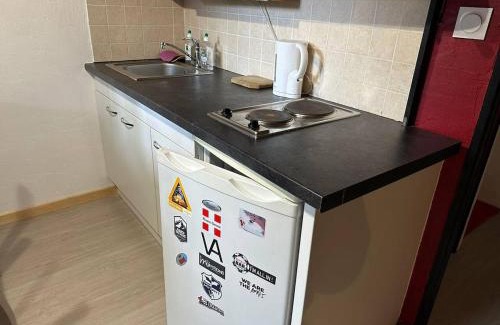 Montriond Apartment | Super studio 4 pers avec balcon et vue montagne