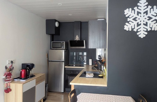 Laveissiere Apartment | Superb 45m2 apartment in resort, fiber, Netflix, Disney+, garage