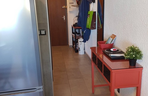 Thollon-les-Memises Apartment | SUPERB APARTMENT. T2 3 ETOILES THOLLON LES MEMISES, SKI SLOPES, LAKE VIEW