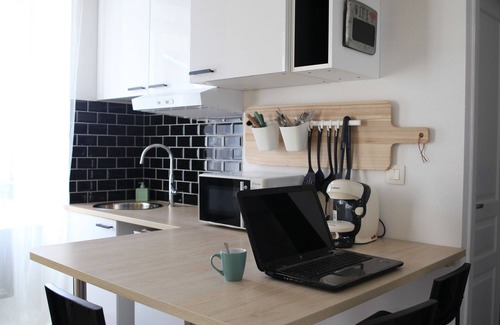 Gannat Apartment | Superb studio jungle downtown Gannat.