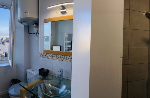 Gannat Apartment | Superb studio jungle downtown Gannat.