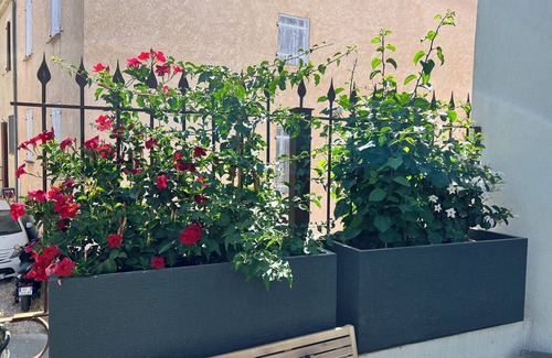 Greoux-les-Bains Apartment | Superbe Appartement 4 p en RDC