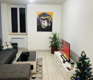 Roanne Apartment | Superbe appartement