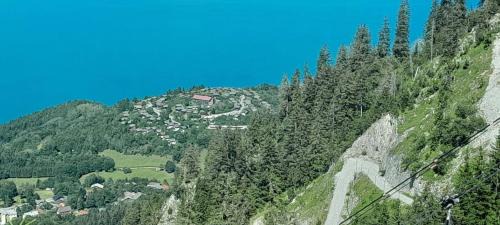 Thollon-les-Memises Ski Chalet | superbe chalet en montagne vue Lac Léman