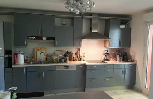 Mulhouse Apartment | Superbe Duplex au Nouveau Bassin avec vue superbe