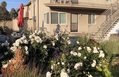 Carpinteria Apartment | Surf, Sun and Sand - Steps from Carpinteria Beach #17