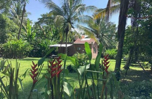 Tuxtla Chico House | Susurro de estrellas