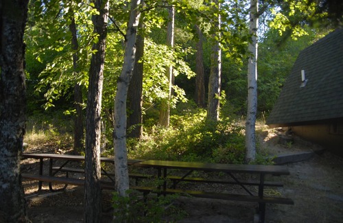 Bigfork House | Swan Lake House - 100 Feet of Waterfront-2bd 2bath
