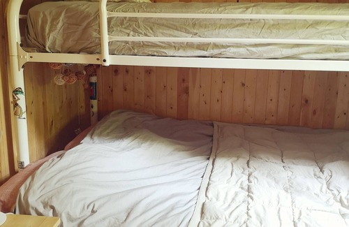 Whitestone Cabin | Sweet and cozy cottage nestled in the heart of a serene 10-acre woodland!