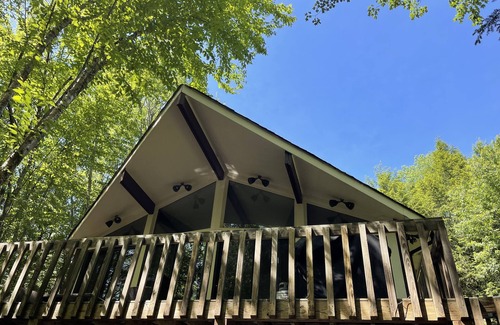 Smallwood Ski Chalet | Sweet Chalet located in lake community-family friendly great entertaining space!