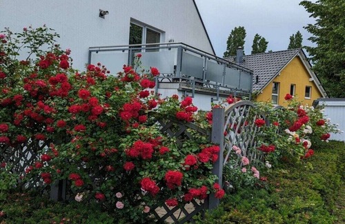 Muritz Boat Rental | Sweet Spot at Fleesensee