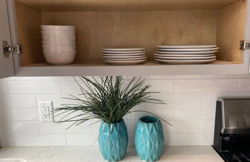 Over-the-Rhine Apartment | SWIZZLE: Explore OTR/Downtown from Rhinegeist