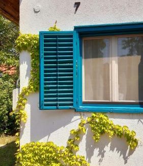Balatongyorok House | Szalakóta Ház