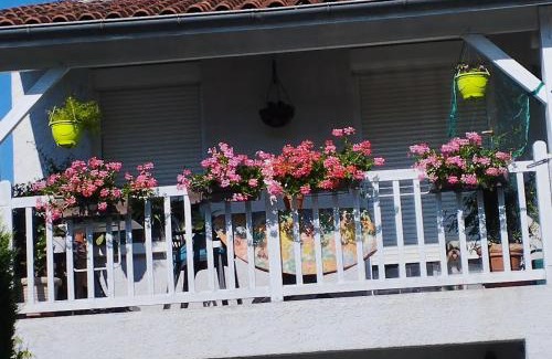 Albi Apartment | T1 bis indépendant dans maison individuelle