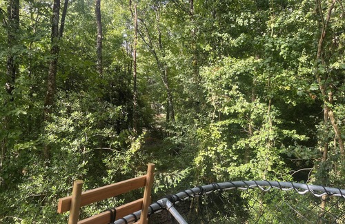 Princay Cabin | Take a breath. Feel it. Reconnect. Make nature your most beautiful room.