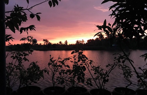 Kochi House | Take it easy with backwater view at this unique and tranquil getaway.