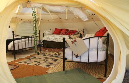 Llangeinor Other | Tal-y-fan farm 6m stargazer tent