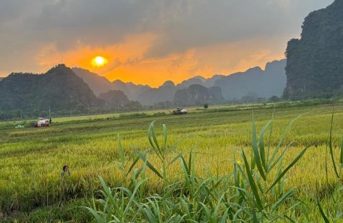 Hoa Lu Cabin | Tam Coc Palm House