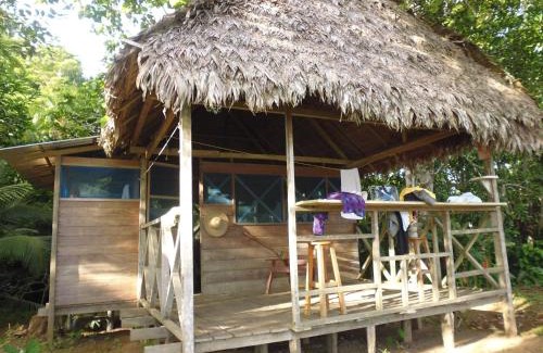 Puerto Maldonado Cabin | Tambopata River