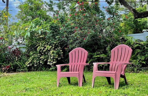 Lake Magdalene House | Tampa Escape, Lush Gardens, Pet-Friendly, 4BR Oasis - Tampa vacation rental