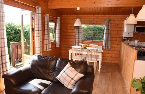 Rhayader Cottage | TAWNY OWL LODGE, pet friendly, with hot tub in Rhayader