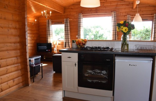 Rhayader Cottage | TAWNY OWL LODGE, pet friendly, with hot tub in Rhayader