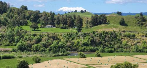 Taumarunui House | Te Tirohanga (The View)