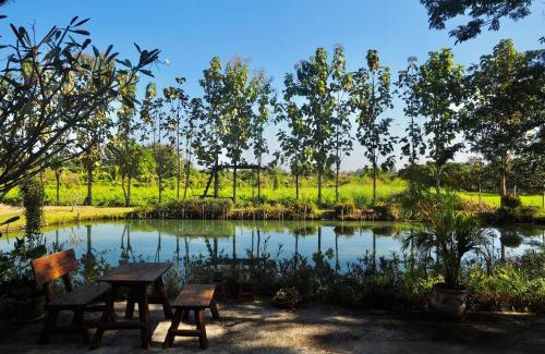 San Pa Thong Ski Chalet | Tea Tree House in Chiang Mai