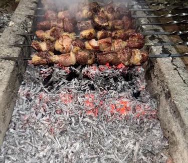 Mirzaani House | television