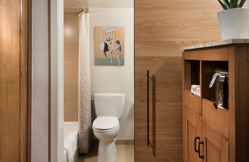 Tempe Hotel | Tempe Mission Palms, a Destination by Hyatt Hotel