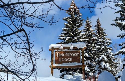 Mountain House House | Tenderfoot Lodge 2611 by SummitCove Lodging