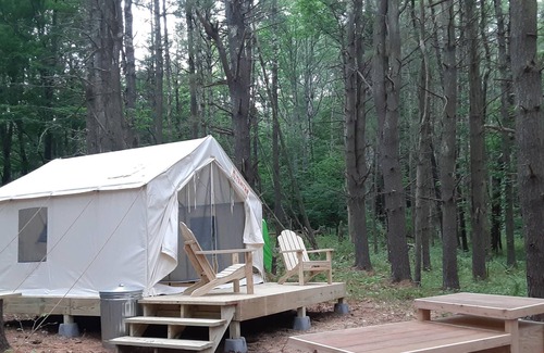 Middleburgh RV Rental | Tentrr Signature Site - Forest Farm Waterfall Camp Site