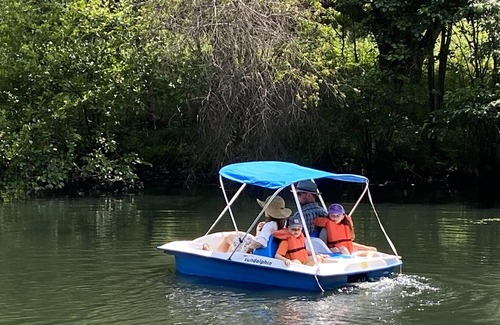 Hollowville RV Rental | Tentrr Signature Site - Honey Pot Farm Pond Paradise