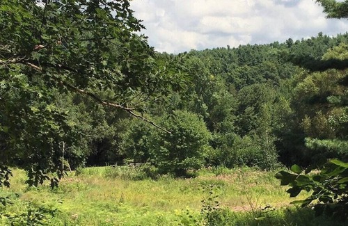 Hollowville RV Rental | Tentrr Signature Site - Honey Pot Farm Pond Paradise