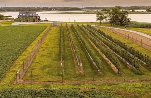 Hancocks Bridge RV Rental | Tentrr Signature Site - Thousand Acre Farm Waterfront Farm